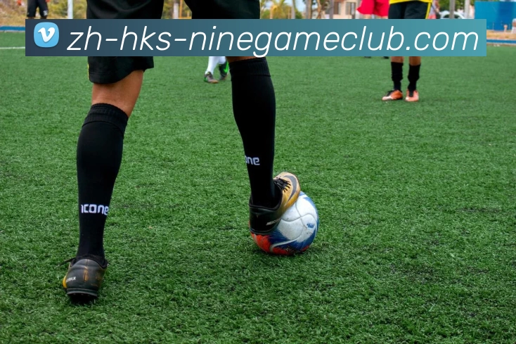 九游体育官方网站平台生态图